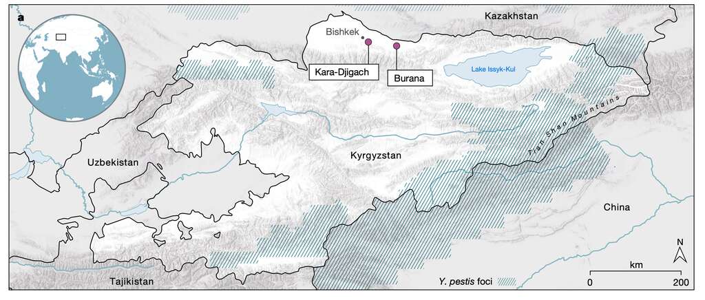 La localisation du lac Issyk-Kul au Kirghizistan. © Maria A. Spyrou et al., Nature 2022