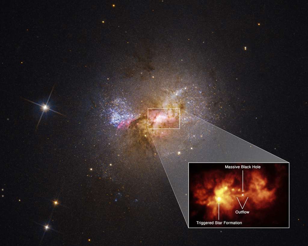 Un zoom sur la région centrale de la galaxie naine Henize 2-10 révèle un pont de gaz chaud de 230 années-lumière de long, reliant le trou noir supermassif de la galaxie et une région de formation d'étoiles. Les données de Hubble sur la vitesse du gaz propulsé par le trou noir, ainsi que l'âge des jeunes étoiles, indiquent une relation causale entre les deux. Il y a quelques millions d'années, l'écoulement de gaz chaud a percuté un nuage dense et s'est répandu, comme l'eau d'un tuyau heurtant un monticule de terre. Maintenant, des amas de jeunes étoiles sont alignés perpendiculairement à l'écoulement, révélant le chemin de sa propagation. © Nasa, ESA, Zachary Schutte (XGI), Amy Reines (XGI) Traitement d'image : Alyssa Pagan (STScI)