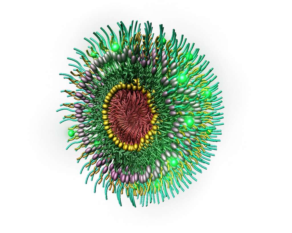 Médecine : des traitements mieux ciblés grâce aux nanoparticules Médecine : des traitements mieux ciblés grâce aux nanoparticules