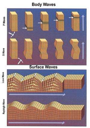 Les différents types d’ondes et leurs modes de propagation. © USGS via Wikimedia Commons