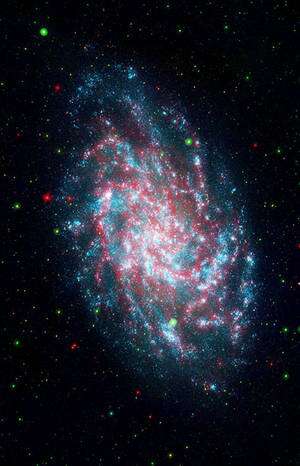 La galaxie du Triangle (alias M33), à 2,9 millions d'années-lumière (autant dire une voisine), observée par Spitzer en avril 2009. (Cliquer sur l'image pour en obtenir une version à haute résolution.) © Nasa