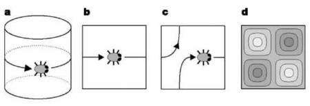 Figure 1. La longueur d'onde des fluctuations de densité est limitée par la taille d'un univers se refermant sur lui-même. Schéma a : une créature vivant à la surface d'un cylindre se déplace et revient à son point de départ après avoir fait un tour complet. Schéma b : un cylindre découpé se transforme en un carré et le trajet de la créature sort par le côté droit pour entrer par le côté gauche. Schéma c : un tore plat est aussi construit à partir d'un carré dont on identifie les côtés opposés ; un tel espace est dit multi-connexe. Schéma d : des ondes se propageant dans un univers torique ne peuvent pas avoir une longueur d'onde supérieure au côté du carré. Pour construire un espace multi-connexe à trois dimensions, on identifie deux à deux les faces d'un polyèdre, un cube par exemple. Dans une telle configuration, la forme des ondes autorisées à se propager dépend de la géométrie de l'espace et de la façon dont les faces sont associées. Crédit : OBPSM