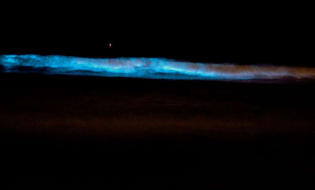 Les microalgues Lingulodinium polyedra sont bioluminescentes et émettent une lumière bleutée lorsqu’elles sont agitées par les vagues, ici sur la côte californienne. © Niels Olson, CC BY-SA 3.0, Wikimedia Commons