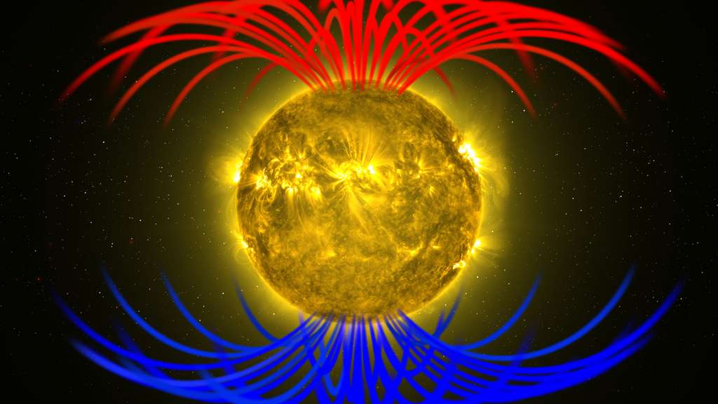 Représentation du champ magnétique solaire émis depuis les pôles. © Nasa