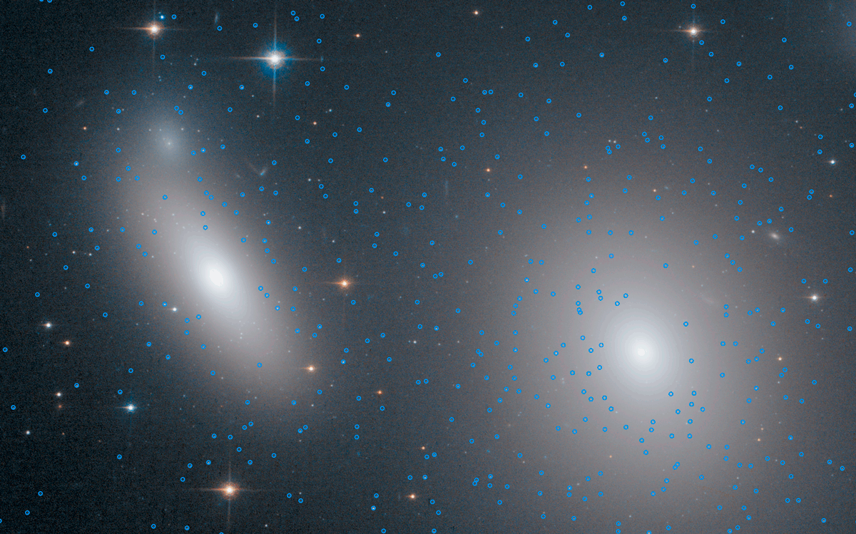 Il y a plus d’amas globulaires rouges autour de NGC 1277, mais que des bleus. Autour de sa voisine NGC 1278, il y a autant d’amas bleus, plus récents, que de rouges. © Nasa, ESA, Z. Levay (STScI)