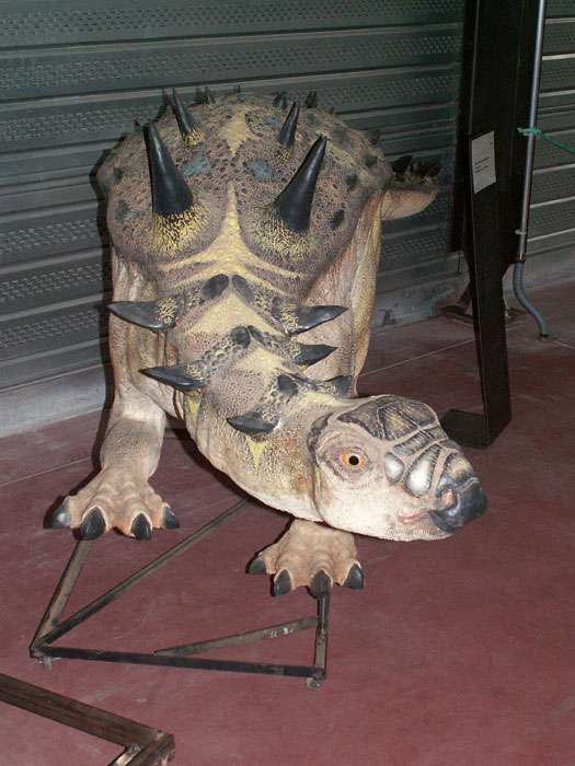 Struthiosaurus, un ankylosaure du Crétacé supérieur Struthiosaurus, un ankylosaure du Crétacé supérieur