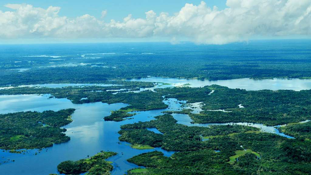L’immense forêt amazonienne