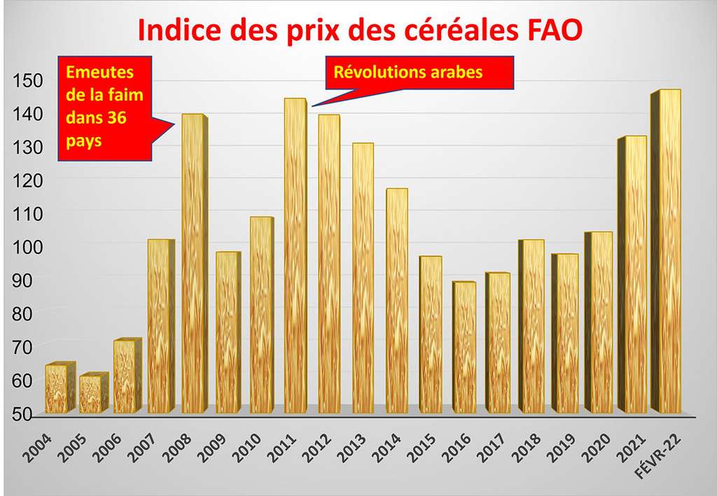 L'indice des prix des céréales est au plus haut depuis 20 ans et il va encore fortement augmenter. © Bruno Parmentier, tous droits réservés