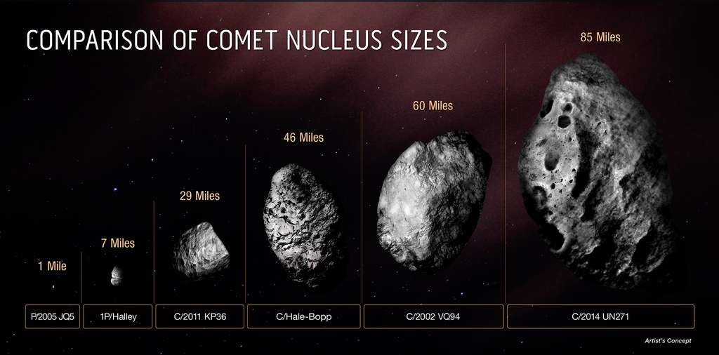 Ce diagramme compare la taille du noyau solide et glacé de la comète C/2014 UN271 (Bernardinelli-Bernstein) à plusieurs autres comètes. La majorité des noyaux cométaires observés sont plus petits que la comète de Halley. © Nasa, ESA, Zena Levy (STScI)