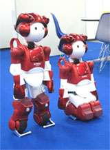 Emiew 2 au repos. A gauche, les barres stabilisatrices, au niveau des pieds, sont abaissées et les roulettes immobilisées. Mais il peut aussi s'agenouiller. © Hitachi Emiew 2 au repos. A gauche, les barres stabilisatrices, au niveau des pieds, sont abaissées et les roulettes immobilisées. Mais il peut aussi s'agenouiller. © Hitachi