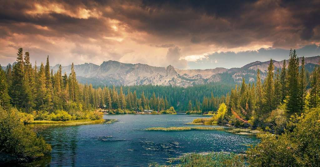 Au Canada, il y a aussi des forêts tempérées Au Canada, il y a aussi des forêts tempérées