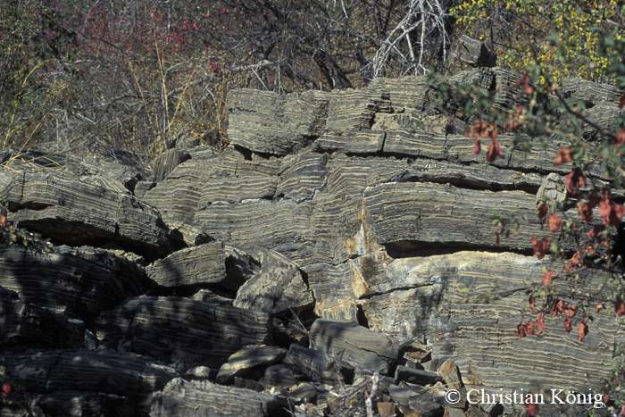 Des roches sédimentaires aperçues à Halali, dans le parc national d’Etosha. © Christian König, DR