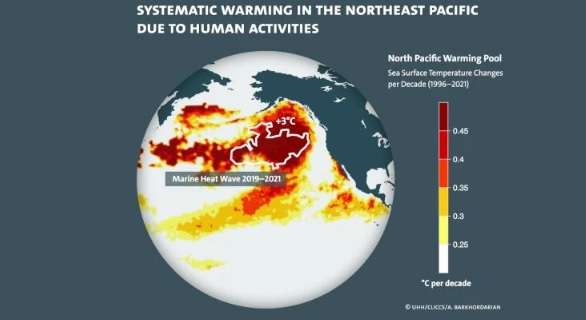 En rouge, le blob de chaleur du nord de l'océan Pacifique. © A. Barkhordarian, UHH, CLICCS