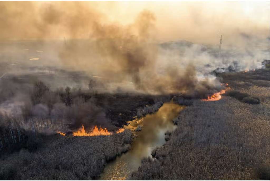 Les feux de forêt dans la zone d’exclusion libèrent les particules radioactives piégées depuis 30 ans dans la végétation (ici en 2020). © Volodymyr Shuvayev, AFP