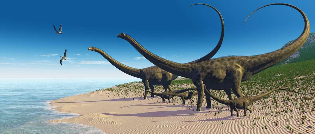 L'un des dinosaures herbivores les plus connus : le diplodocus. © Catmando, Adobe Stock