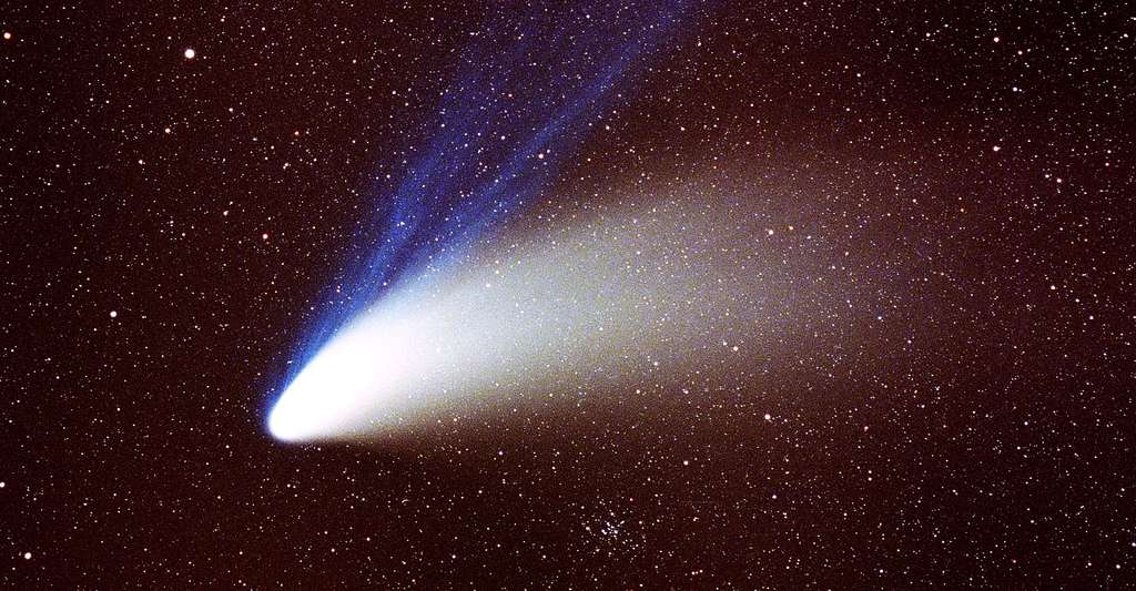 Comète Hale-Bopp. © Hans Bernhard, CC by-sa 3.0