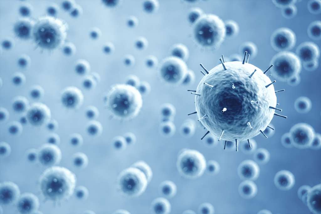 Les cellules sont prévenues : un microbe arrive... © imaginima, IStock.com