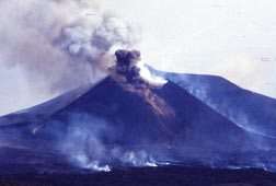 Fig. 1 - Le Mont Etna en éruption en juillet 2001 (crédits : C. Ferlito & J. Siewert)