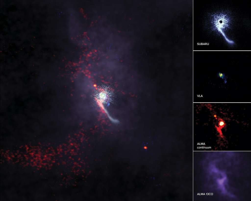 Les astronomes savent que les étoiles sœurs interagissent entre elles. Mais il est rare qu’ils observent le passage au cœur d’un système stellaire, d’un « intrus ». Et celui qu’ils ont observé du côté de Z Canis Majoris a laissé des traces. © Alma (ESO/NAOJ/NRAO), S. Dagnello (NRAO/AUI/NSF), NAOJ
