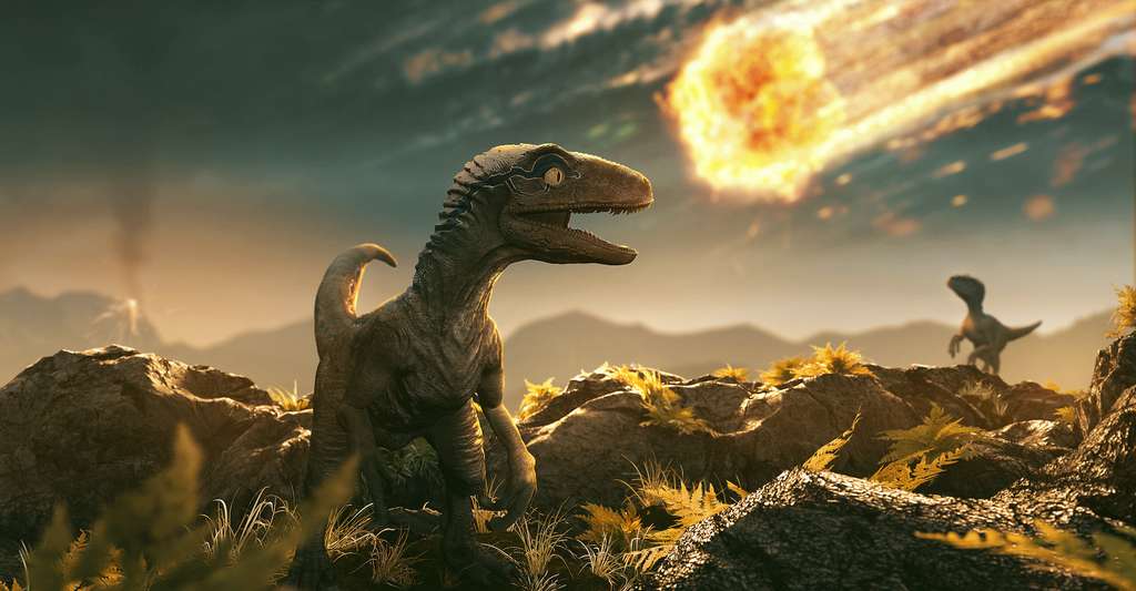 Les chercheurs de l’université du Texas (États-Unis) ont trouvé la preuve qui leur manquait que l’extinction des dinosaures est liée à la chute sur Terre d’un astéroïde. © lassedesign, Adobe Stock