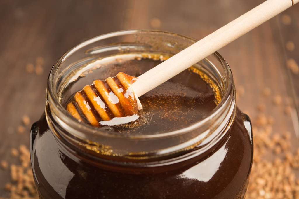 Le miel de miellat est généralement plus foncé que le miel de nectar. © karlevana, Fotolia