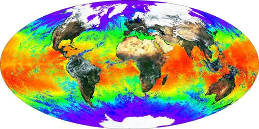 Vue globale des températures de l'eau en surface © Nasa