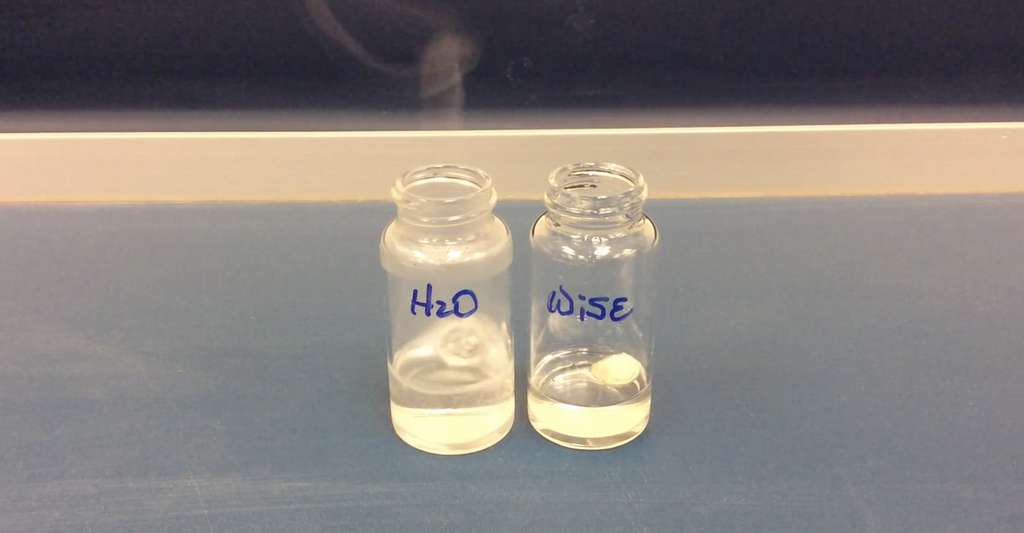 Ici, une électrode non protégée (à gauche) et une autre, protégée, (à droite) sont plongées dans l’électrolyte aqueux. Sur la première, les réactions sont visibles. Sur la seconde, il ne se passe rien. © Yang et al., université du Maryland