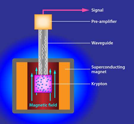 Au cours de l'expérience Project 8, un aimant supraconducteur (superconducting magnet, en anglais sur le schéma) produit un champ magnétique (magnetic field) dans lequel est plongé un gaz de krypton radioactif. Le rayonnement cyclotron émis par les électrons, eux-mêmes émis par les noyaux de krypton, est canalisé dans un guide d'ondes (waveguide) en direction d'un étage de préamplification qui va permettre d'analyser le signal émis. © Alan Stonebraker, APS