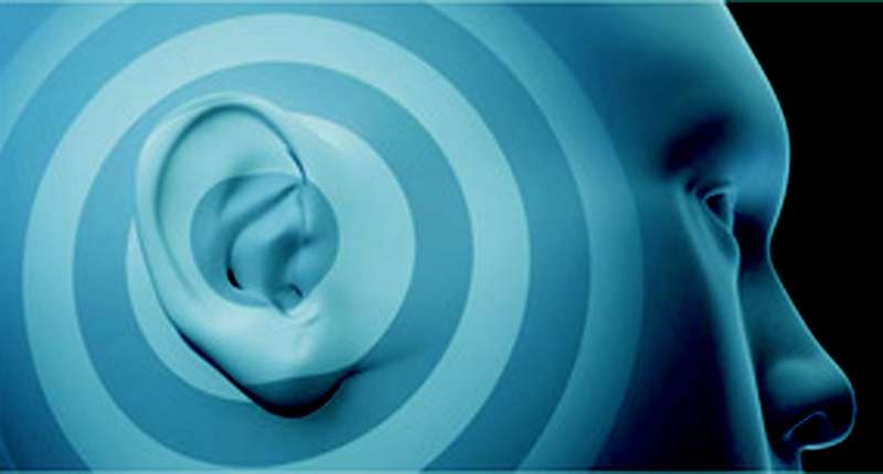 Comment l'oreille perçoit-elle les sons ? Quel rôle le numérique peut-il jouer ? © EDP Sciences