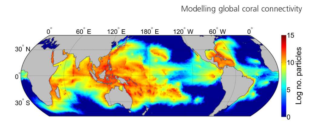 Cette carte de distribution des larves de corail à l'échelle mondiale a été réalisée à partir des trajectoires simulées de plus 115 millions de larves. L'échelle de couleur exprime le logarithme du nombre de larves individuelles passant dans une cellule de 1° de côté. Les zones bleues présentent une faible quantité, et les rouges une quantité importante.