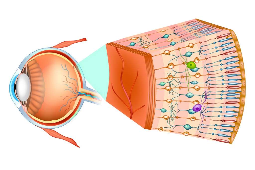Depression Saisonniere C Est Peut Etre A Cause De La Couleur De Vos Yeux