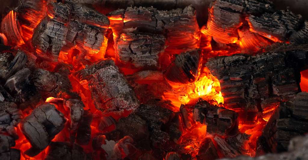 Des chercheurs de l’université de l’État de l’Arizona (États-Unis) présentent des preuves de la combustion d’une quantité colossale de charbon à l’époque où a eu lieu la pire des extinctions de masse sur notre Terre. © Dmitriy, Adobe Stock