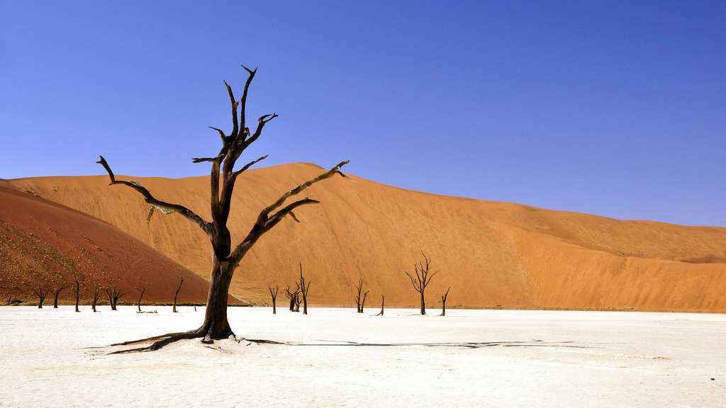 Dead Vlei, un paysage d’un autre monde Dead Vlei, un paysage d’un autre monde