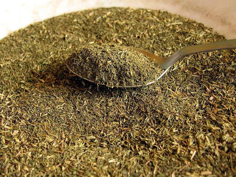 La Stevia ribaudiana contient des édulcorants naturels intenses, au pouvoir sucrant 300 fois supérieur à celui du saccharose. Une fois les feuilles séchées et réduites en poudre, on utilise la stevia pour sucrer des boissons par exemple. © Wikipédia, DP