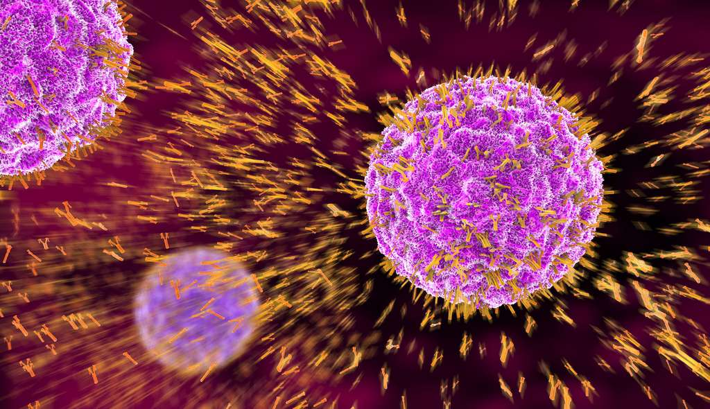 Les anticorps neutralisants ne sont pas les seuls effecteurs de l'immunité vaccinale à contrer le coronavirus. © Christoph Burgstedt, Adobe Stock