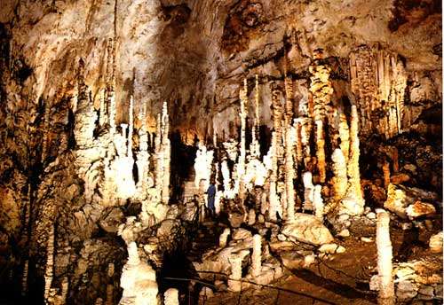 Stalactites et stalagmites : c'est quoi la différence ?