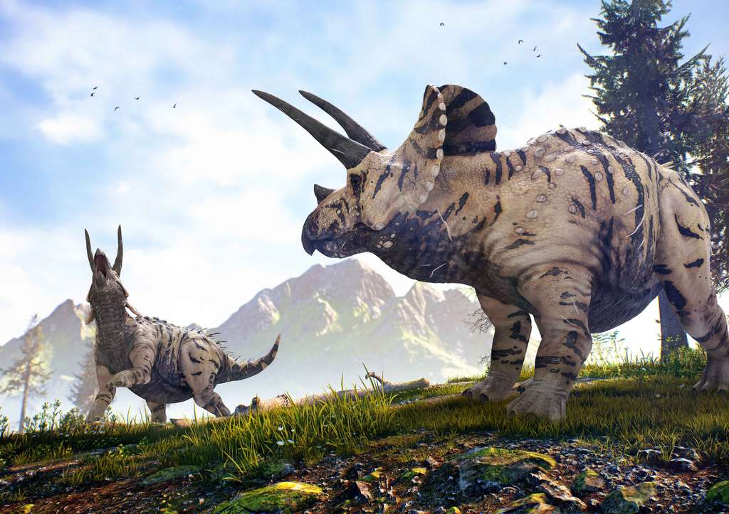 Vue d'artiste de deux Triceratops horridus entre lesquels ont pu avoir lieu de redoutables combats. © Herschel Hoffmeyer, Adobe Stock