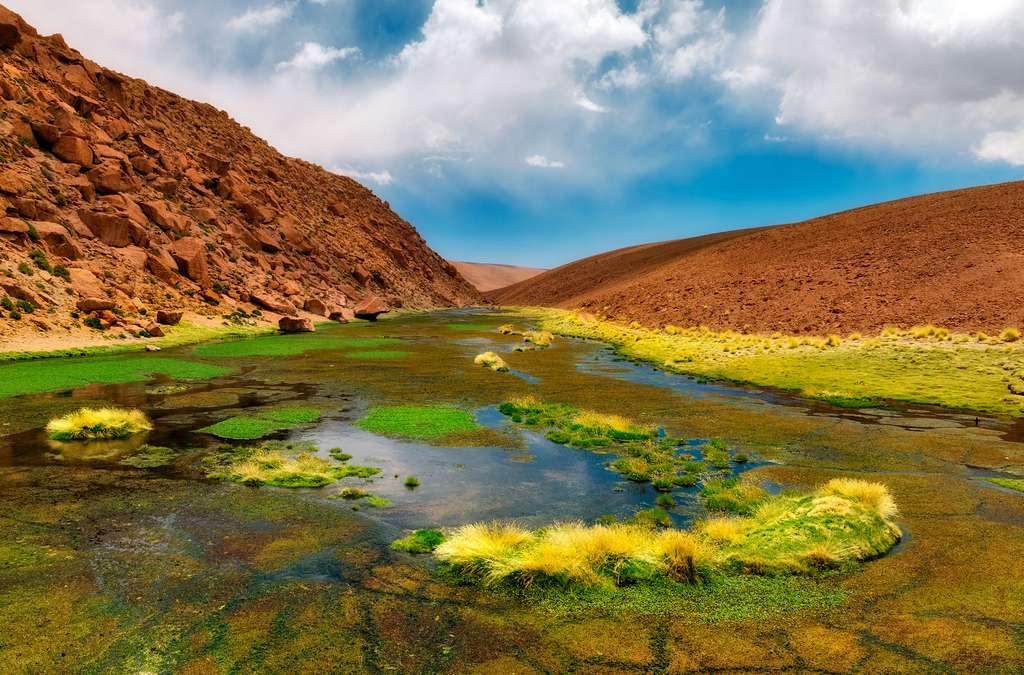 Une oasis à 3.000 mètres d’altitude Une oasis à 3.000 mètres d’altitude