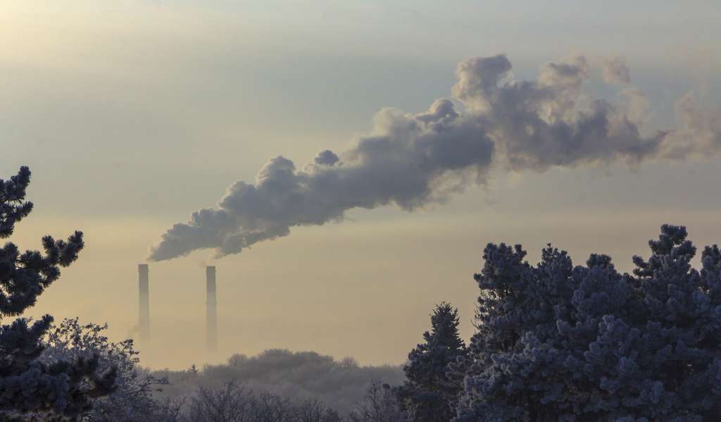 Gracias a una mejor comprensión de la síntesis de metano por parte de los organismos metanogénicos, los investigadores británicos esperan que pronto produzcan metano: energía, de CO2. © AnimaFlora, Fotolia