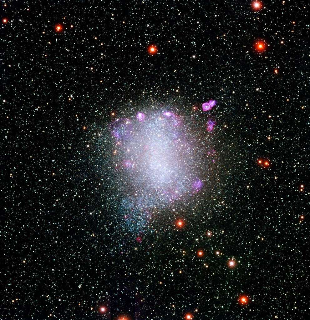 NGC 6822, également connue sous le nom de galaxie de Barnard, est située à seulement environ 1,5 million d'années-lumière, et est donc un membre de notre groupe local de galaxies. Elle fait partie des galaxies étudiées dans la cadre du projet Cosmic Flow. © Local Group Galaxies Survey Team