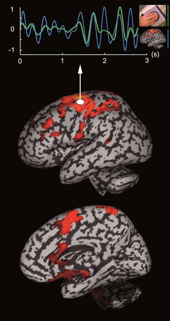 La magnétoencéphalographie (MEG), pour lire le cerveau La magnétoencéphalographie (MEG), pour lire le cerveau