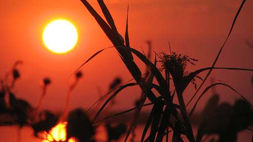 L Effet Du Soleil Sur Notre Humeur Et Nos Comportements Dossier