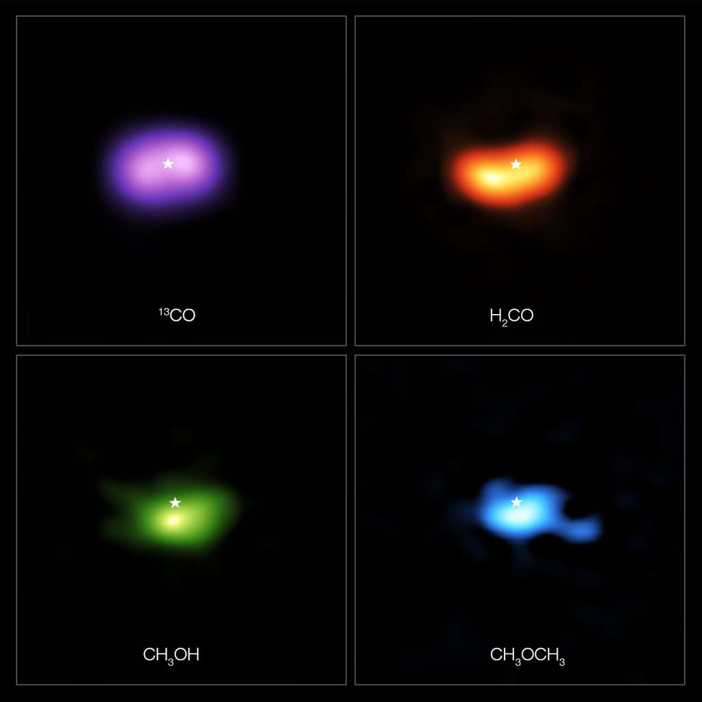 Ces images en fausses couleurs de l'Atacama Large Millimeter/submillimeter Array (Alma) montrent où diverses molécules de gaz ont été trouvées dans le disque autour de l'étoile IRS 48, également connue sous le nom d'Oph-IRS 48. Le disque contient une région en forme de noix de cajou dans sa partie sud, qui emprisonne des grains de poussières de taille millimétrique qui peuvent se rassembler et se transformer en objet de la taille d'un kilomètre comme des comètes, des astéroïdes et potentiellement même des planètes. Des observations récentes ont repéré plusieurs molécules organiques complexes dans cette région, notamment le formaldéhyde (H2CO, en orange), le méthanol (CH3OH, en vert) et le méthoxyméthane (CH3OCH3, en bleu), la plus grande molécule trouvée dans un disque de formation de planètes à ce jour. L'émission signalant la présence de ces molécules est nettement plus forte dans le piège à poussières du disque, tandis que le monoxyde de carbone (CO, en violet) est présent dans l'ensemble du disque de gaz. L'emplacement de l'étoile centrale est marqué d'une étoile dans les quatre images. Le piège à poussières est à peu près de la même taille que la zone occupée par l'émission de méthanol, indiquée en bas à gauche. © Alma (ESO/Naoj/Nrao)/A. Pohl, van der Marel et al., Brunken et al.