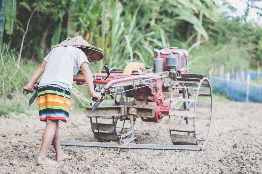  Les conséquences du réchauffement climatique sont de plus en plus impressionnantes dans les pays tropicaux dont l'agriculture est déjà très fragile. De nombreuses régions passent de la disette à la famine. © Tinnakorn, Adobe Stock