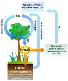 Bilan carbone de la voie du biochar et du biocarburant, selon Lehman (Nature, 2007). (Cliquer sur l'image pour l'agrandir.) Les végétaux terrestres utilisés captent le gaz carbonique par photosynthèse et en produisent par la respiration. Les techniques envisagées, utilisant la pyrolyse, récupèrent la moitié du carbone et le restitue au sol sous forme de biochar et permettent également la production de biocarburants. Le biochar est durablement séquestré dans le sol, mis à part un léger relargage estimé à 5%. Le bilan global est négatif, avec 20% de carbone prélevé à l'atmosphère. © CSFD