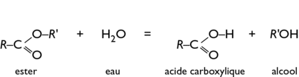 L’hydrolyse d’un ester est la réaction inverse de l’estérification. © DR L’hydrolyse d’un ester est la réaction inverse de l’estérification. © DR