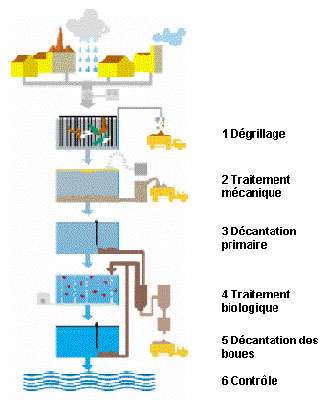 Pollution De L Eau Par L Homme Causes Et Solutions Dossier