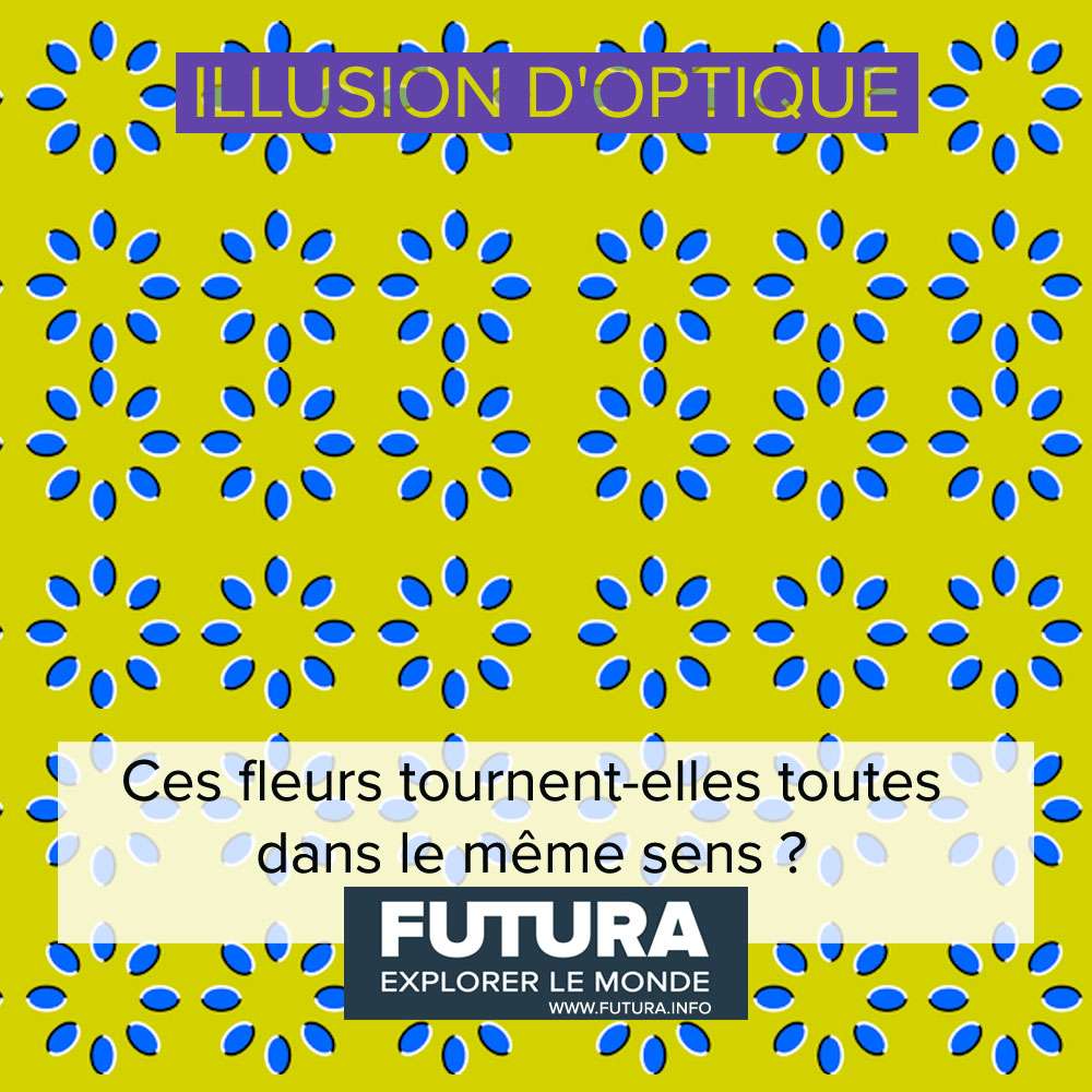 Les fleurs tournantes d'Akiyoshi Kitaoka Les fleurs tournantes d'Akiyoshi Kitaoka