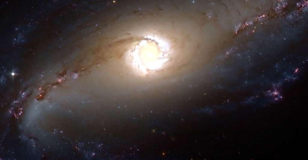 Il existe différents types de quasars. © ESA/Hubble et Nasa ; remerciement : E. Sturdivant, CC by 3.0