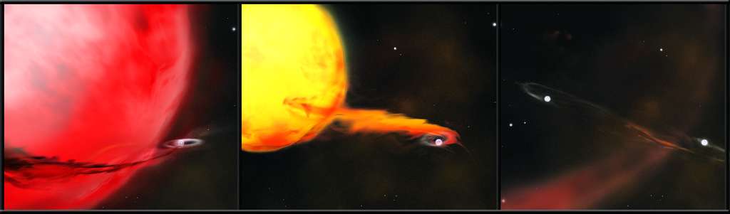 Trois modèles pour l'origine des SN Ia. À gauche, une géante rouge avec une naine blanche accrétant de la matière et à droite deux naines blanches formant un système binaire. Au milieu, une étoile de type solaire perdant elle aussi de la matière, arrachée par les forces de marée de son étoile compagne, une naine blanche. © Nasa/Swift/Aurore Simonnet, Sonoma State Univ.